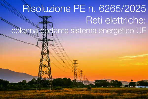 Risoluzione PE n. 6265 del 19 Dicembre 2025